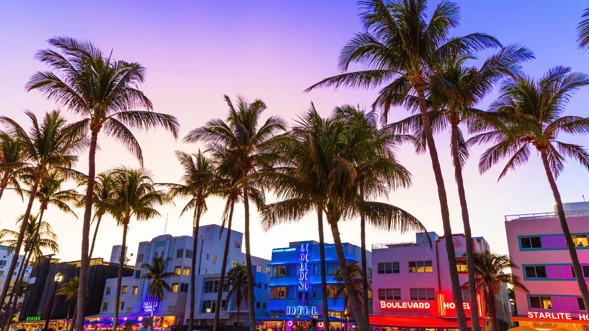 Vista de South Beach en Miami al atardecer, con palmeras altas y edificios iluminados con luces de neón en tonos azules, rosas y morados.